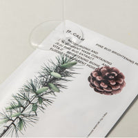 HUECALM Bud Brightening Mask 25g 10ea