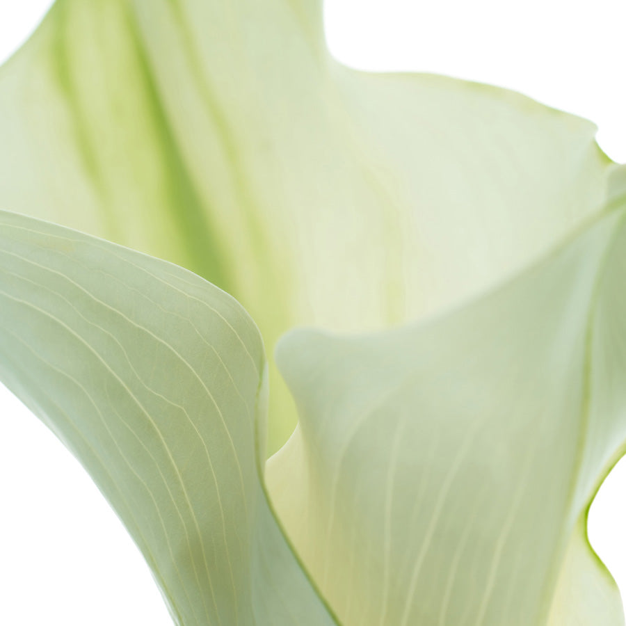A'ddct Hair Perfume 30ml Lily Veil