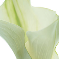 A'ddct Hair Perfume 30ml Lily Veil