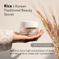 House of Dohwa Rice Bran Facial Moisturizer 50ml