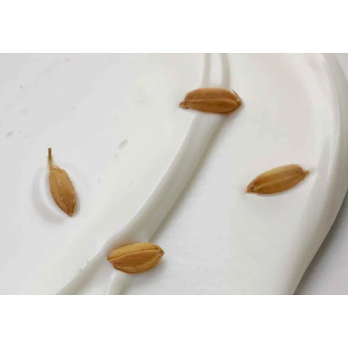 House of Dohwa Rice Bran Sunscreen 50ml