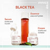 (Mhark) Innisfree Black Tea Youth Enhancing Treatment Essence 145ml - DODOSKIN