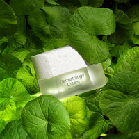 INCELLDERM Dermatology Cream 50ml