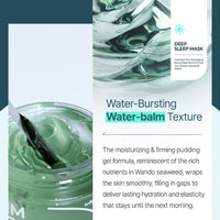 Isntree Gim PDRN Deep Sleep Mask 80ml