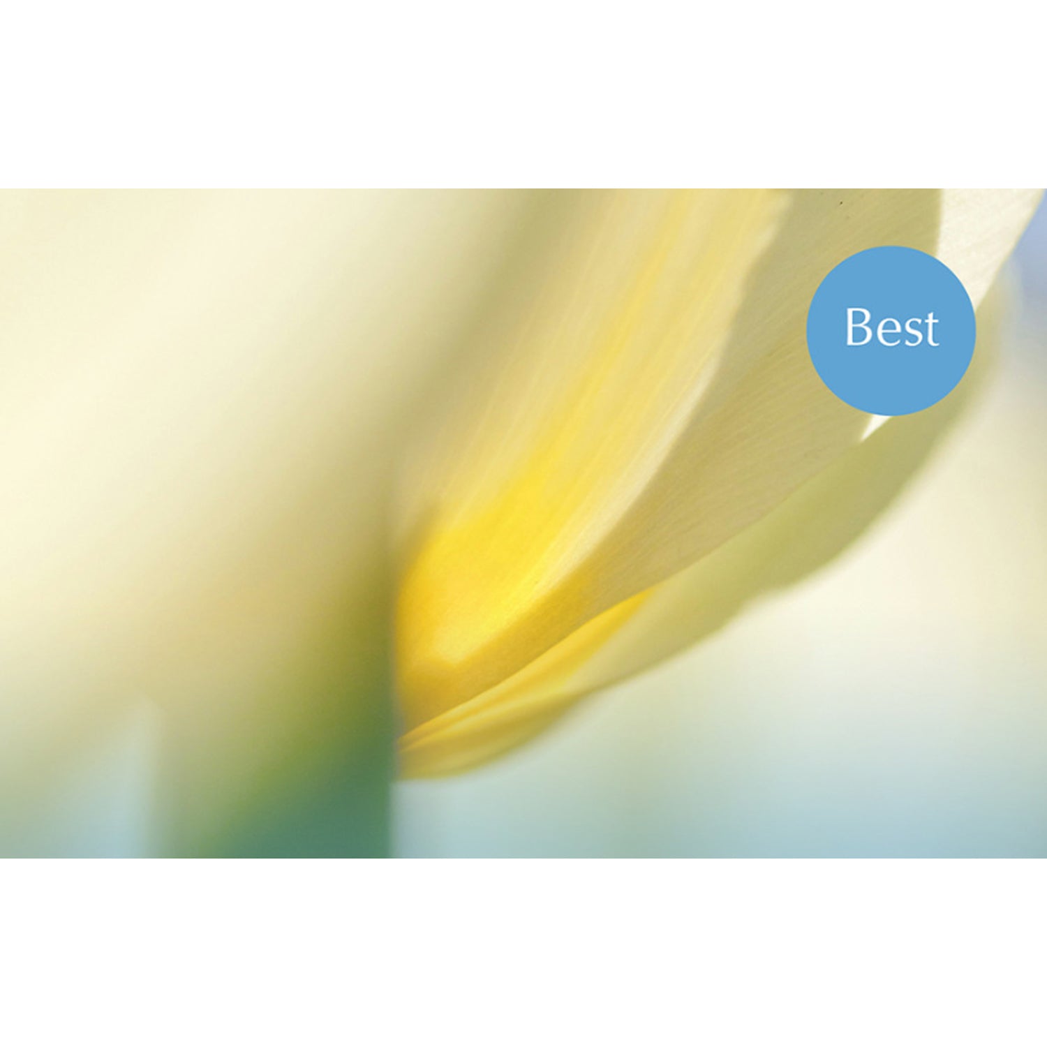 JOIK Nordic Fragrance Diffuser 100ml (6 Scents)