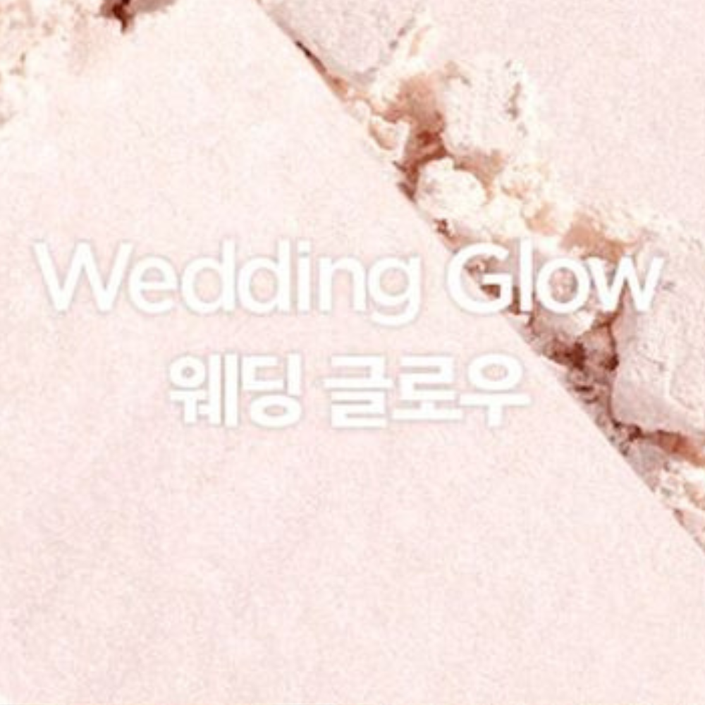 JUNG SAEM MOOL Artist Face Palette Highlighter 5.5g