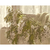 KUNDAL Honey & Macadamia Hair Treatment 500ml (Choose from 16 Scents)