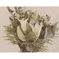 KUNDAL Honey & Macadamia Hair Treatment 500ml (Choose from 16 Scents)