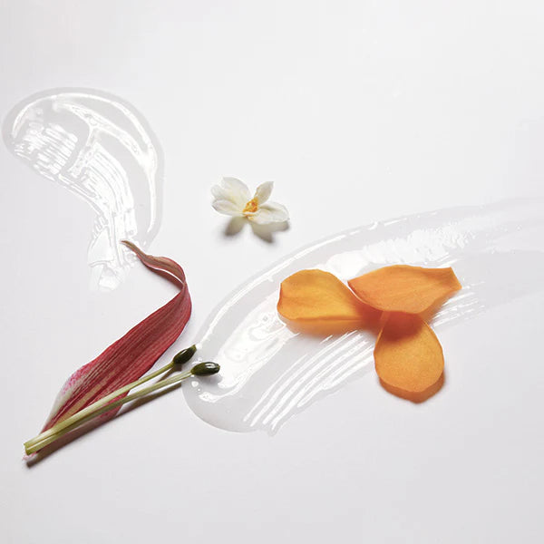 LABO-H Hair Loss Relief Scalp Strenthening Blanche & Woody Shampoo 400ml