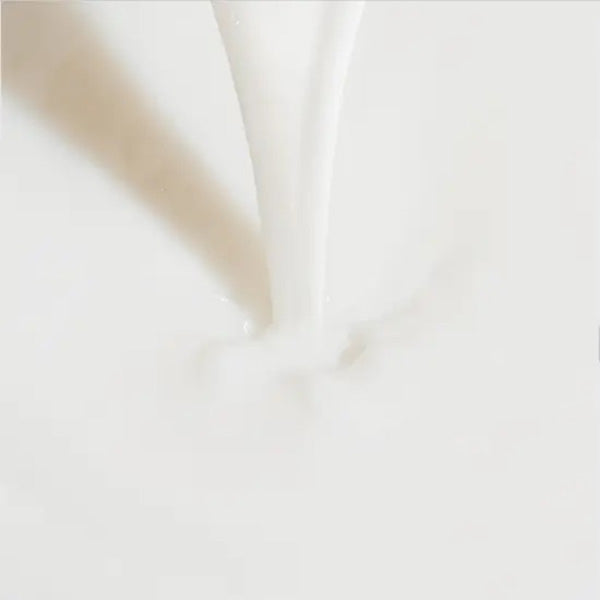 LANEIGE Cream Skin Refill 170ml