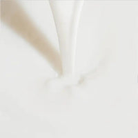 LANEIGE Cream Skin Refill 170ml