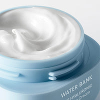 LANEIGE Water Bank Blue Hyaluronic Moisture Cream Refill 50ml