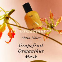 Lador Perfumed Hair Essence 3-Piece Set [Small Garden]