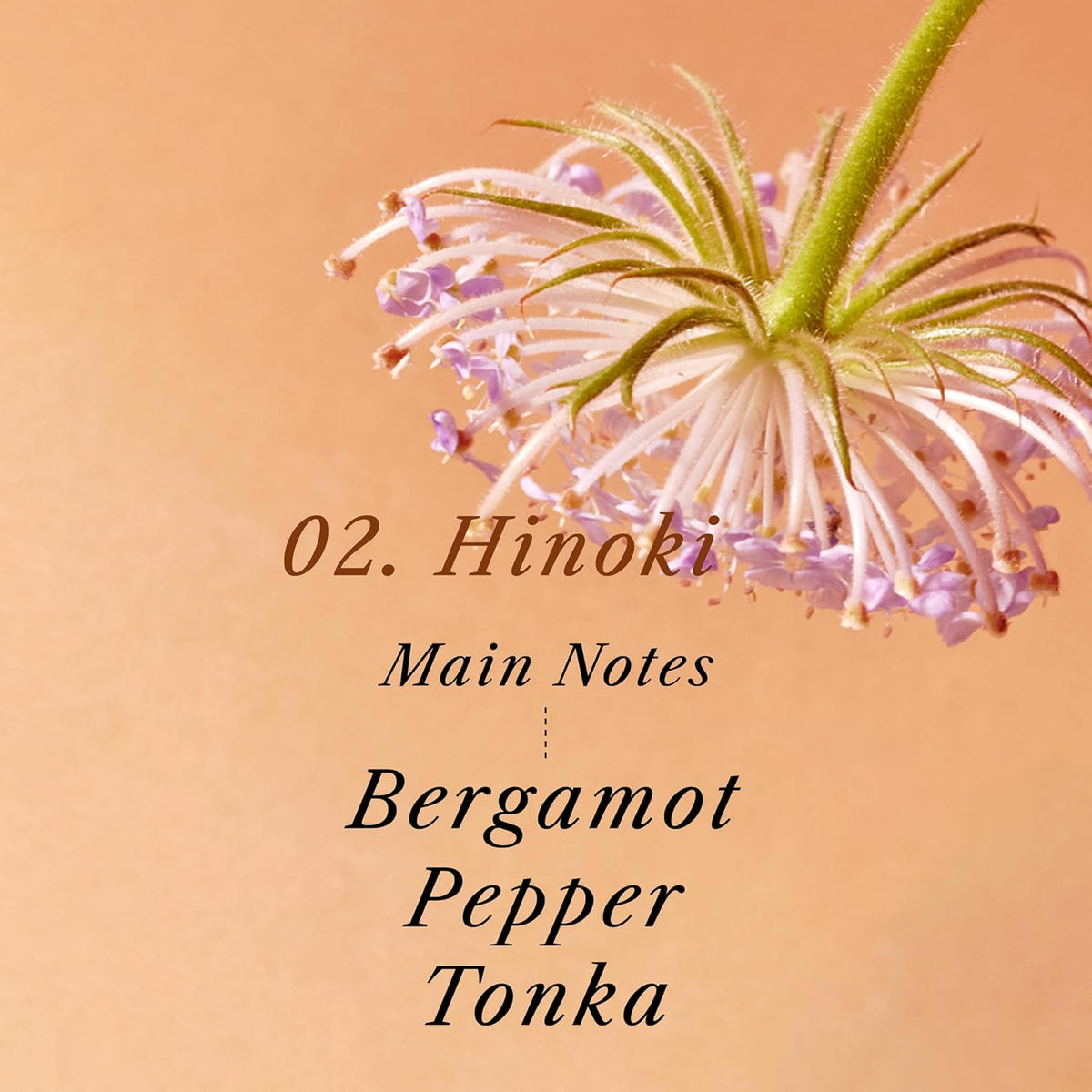 Lador Perfumed Hair Essence 3-Piece Set [Small Garden]