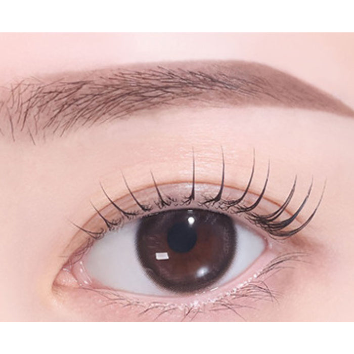 SB2. Dark Brown