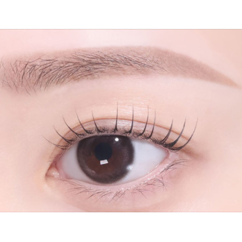 SB5. Taupe Brown