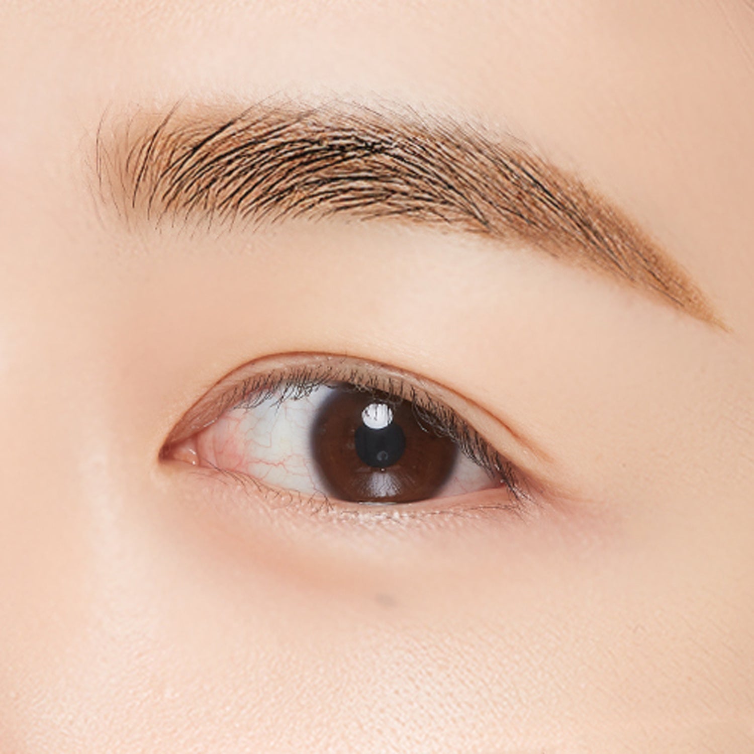 MISSHA Perfekte Augenbrauenstyler 15g 6 Farben