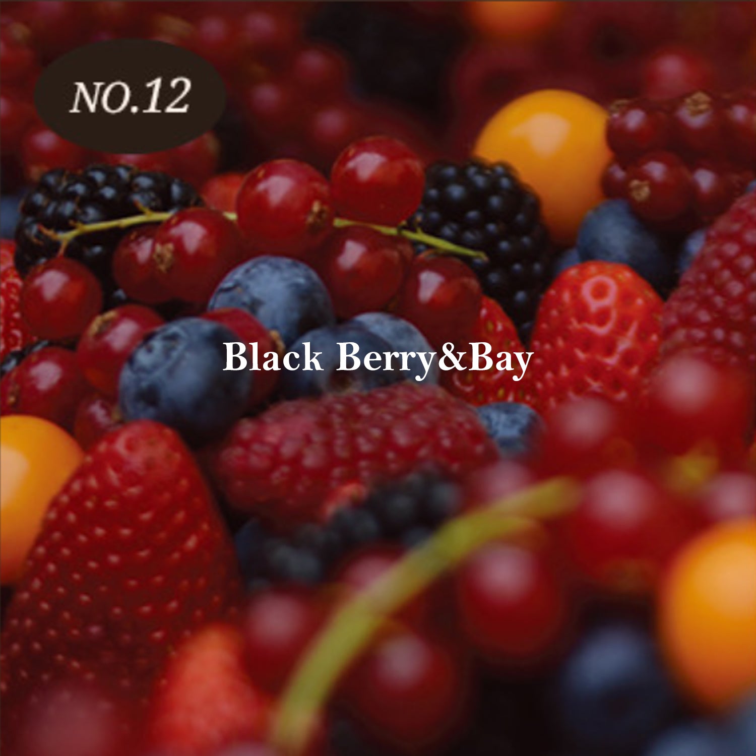 Black Berry&Bay