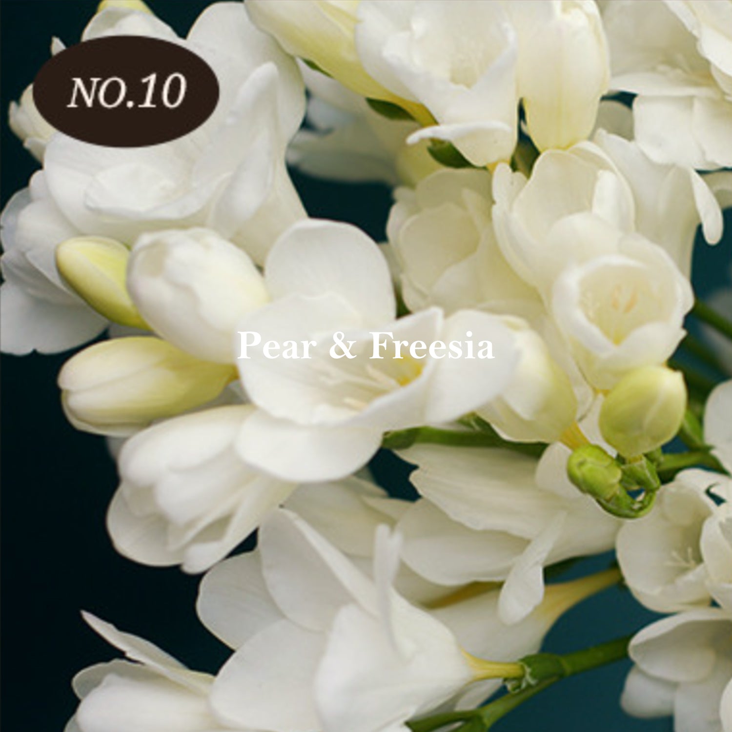 Pear & Freesia