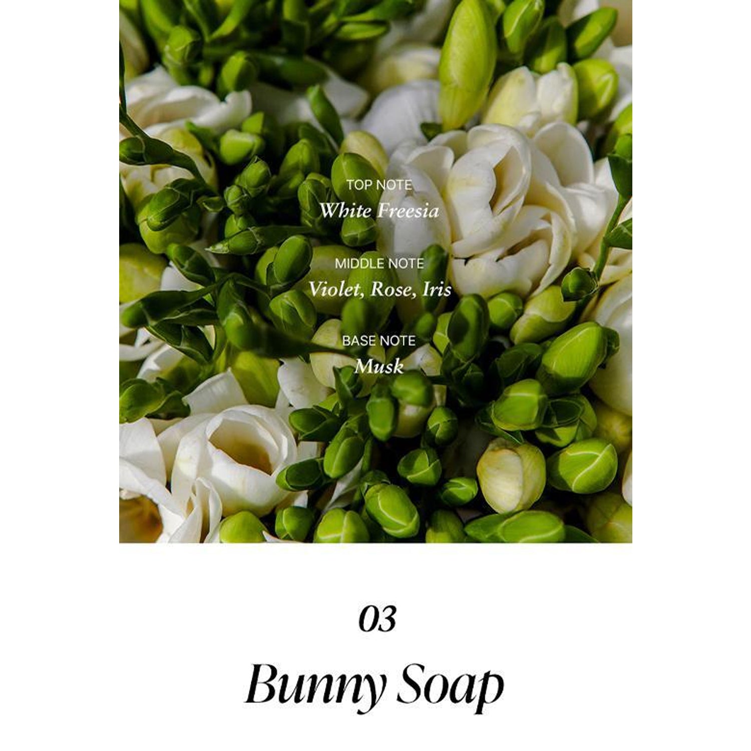 Bunny Soap