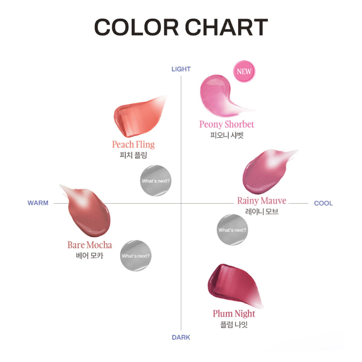 Molette Shutter Fit Tint 3.3g (5 Shades)