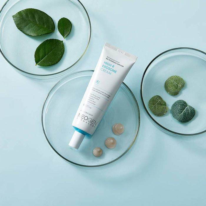 NEOGEN Dermalogy High R Exosome Cream 40ml | DODO SKIN – DODOSKIN