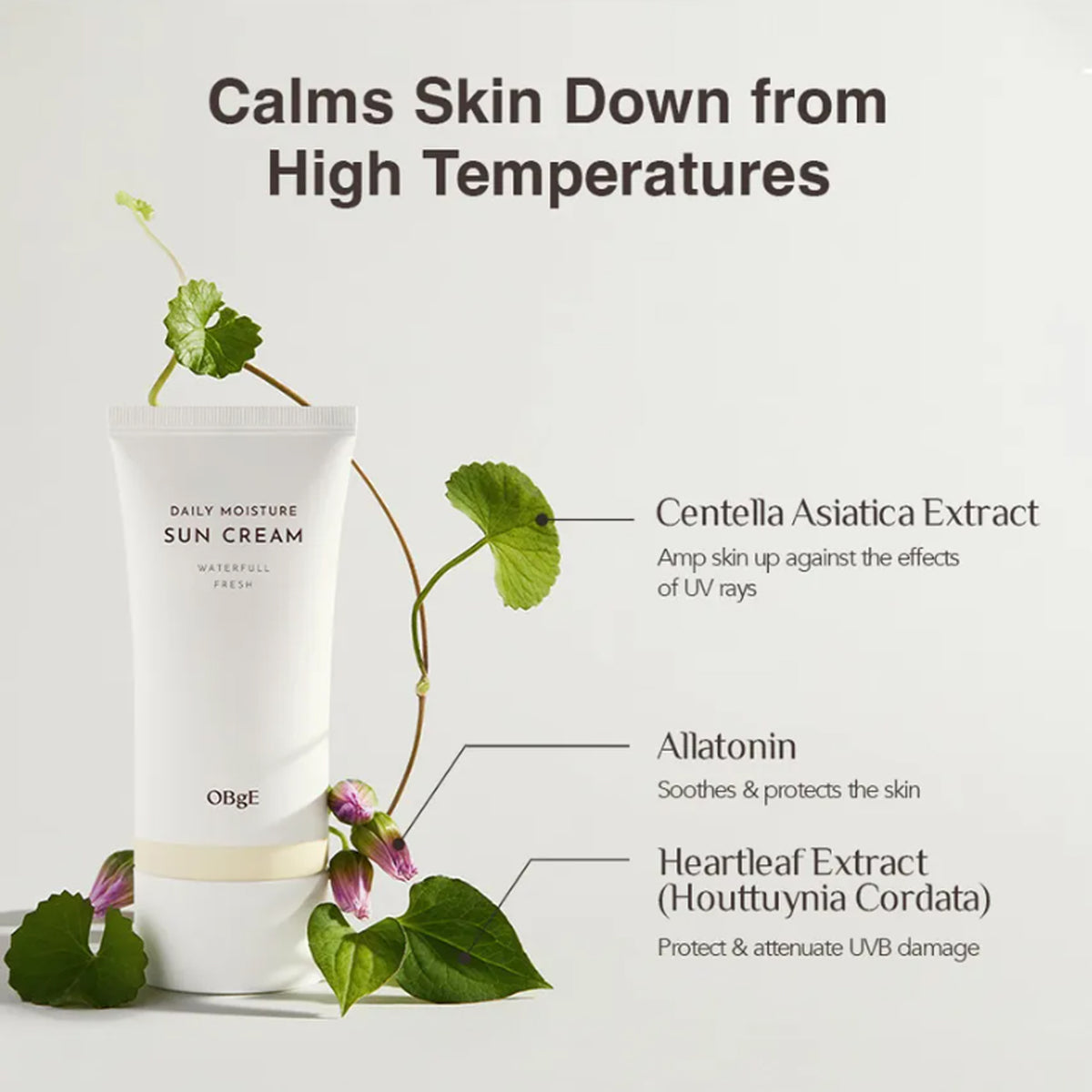 OBgE Daily Moisture Sun Cream 50ml