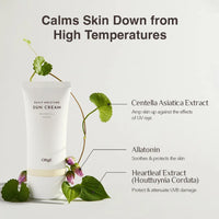 OBgE Daily Moisture Sun Cream 50ml