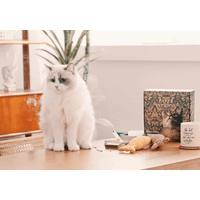 [Gift Packaging] OPTATUM Cat Paper Incense & Catnip Toy Gift Set
