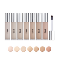 Oiad. Cover Perfecting Mirror-Brushed Concealer SPF30 PA++ 8g