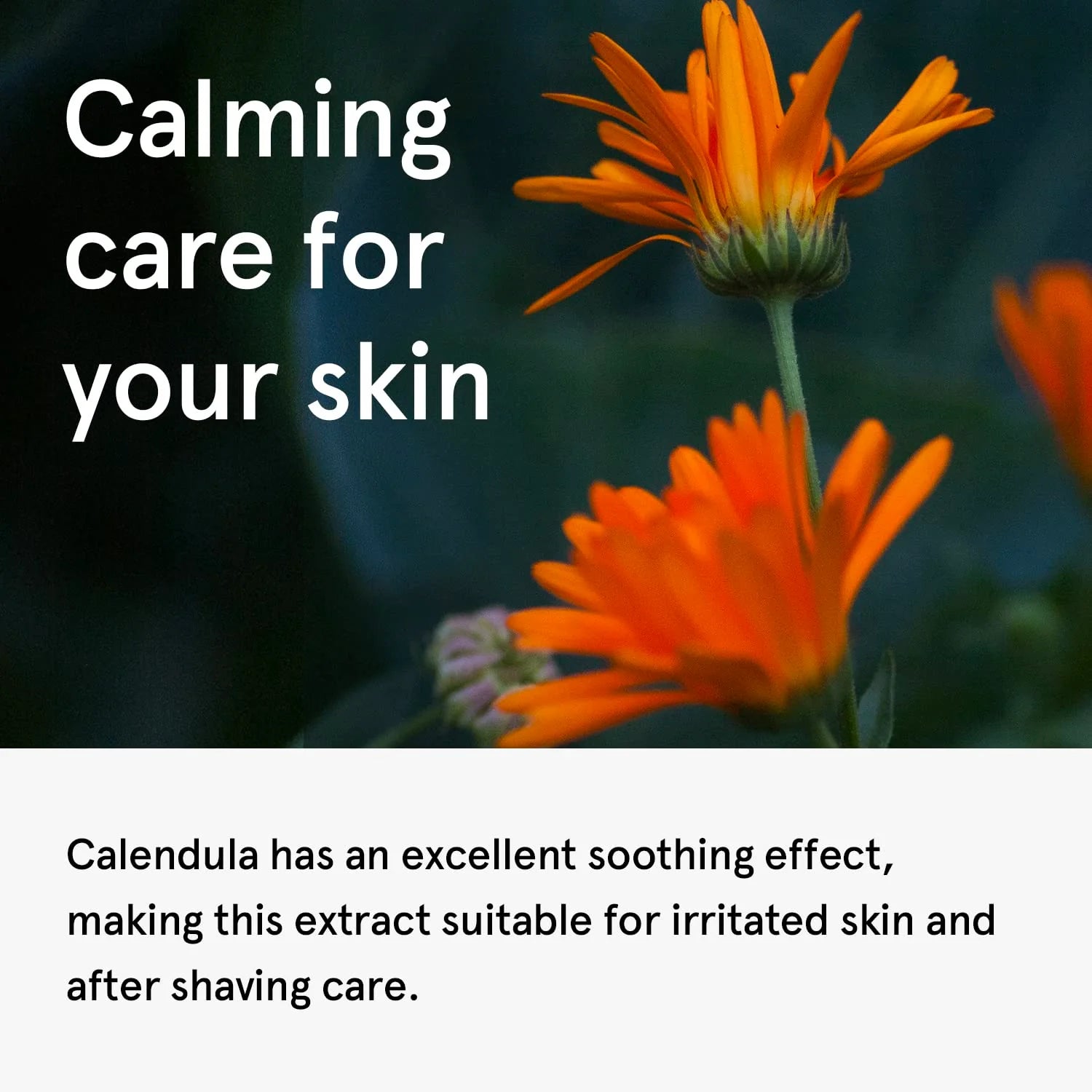 ONE THING Calendula Officinalis Flower Extract 150ml - DODOSKIN