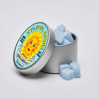 XYLITOL STONE Tin Case Original 70g