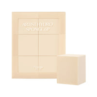 PICCASSO Artist Hydro Sponge (6P)