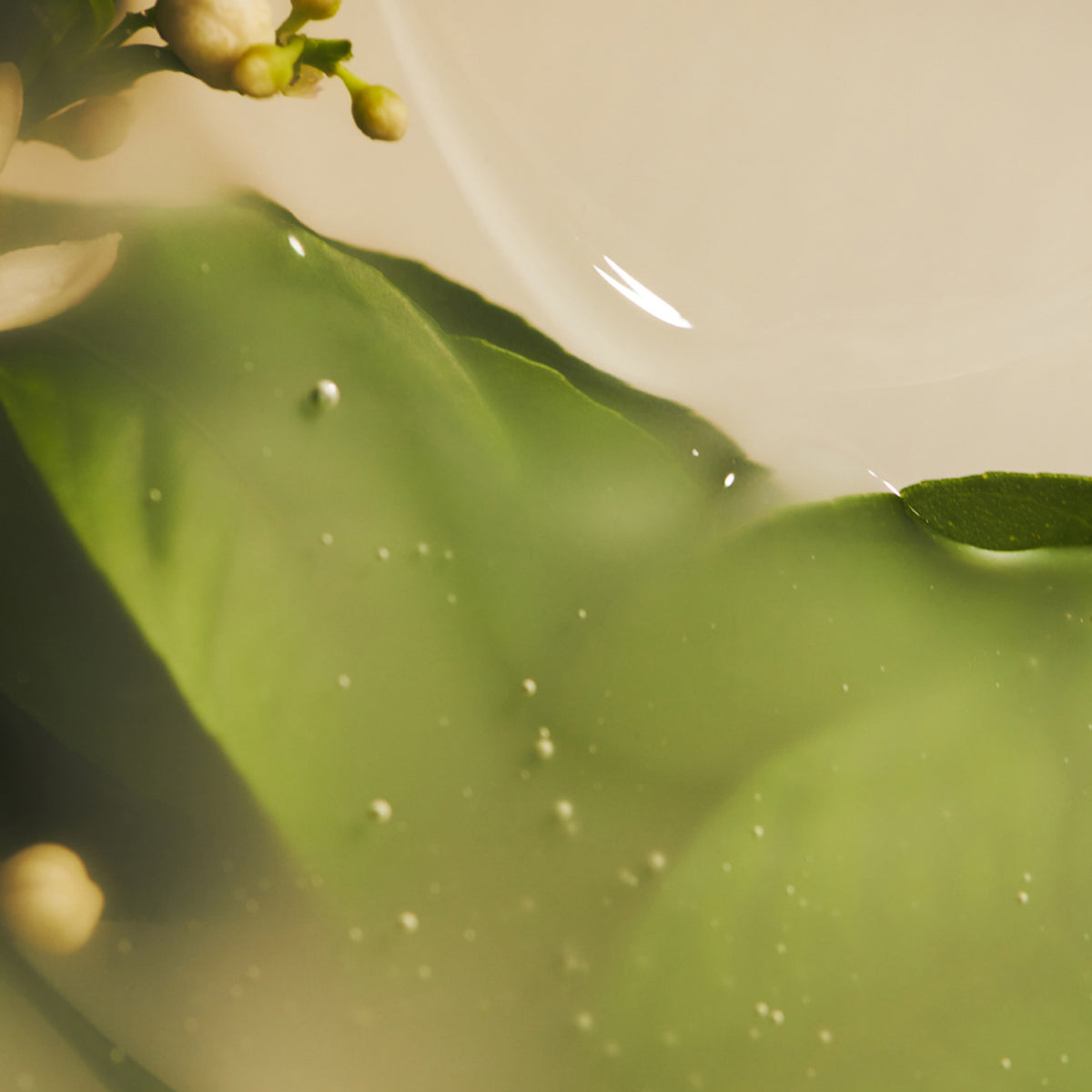 PINKWONDER Neroli Brightening Serum 30ml