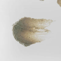 RETURNITY Yulmu Skinclean Mask 120g