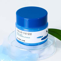 ROUND LAB Birch Juice Moisturizing Lip Balm 20g