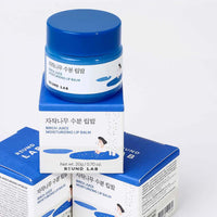 ROUND LAB Birch Juice Moisturizing Lip Balm 20g