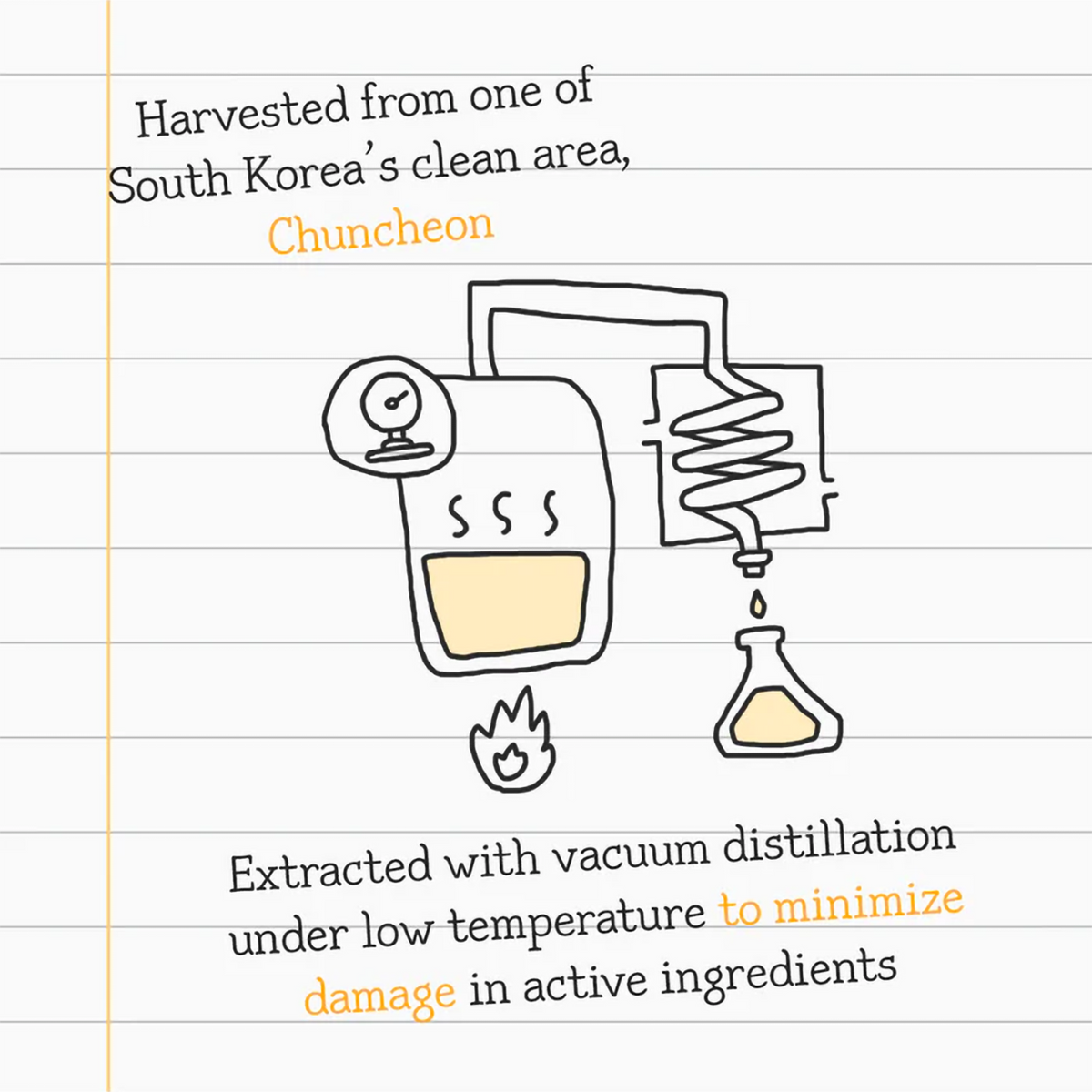 Provides a brighter and more luminous complexion.