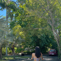 SCHIM Oriental Tea Fabric & Room Perfume 200ml [Pine Needle, Ripe Apricot & Black Tea Scent]