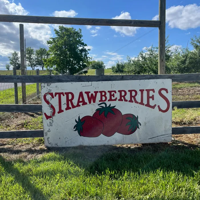 Schim Sour Berry Fabric & Room Parfüm 200ml [unreifen Erdbeer -Duft von Charlie gepflanzt]