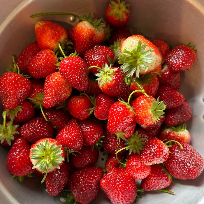 SCHIM Sour Berry Fabric & Room Perfume 200ml [Unripe Strawberry Scent Planted by Charlie]