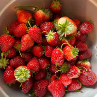 SCHIM Sour Berry Fabric & Room Perfume 200ml [Unripe Strawberry Scent Planted by Charlie]