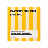 SINSURU Watery Sulfur Spot Pad 4-Week Plan (8 Pads)