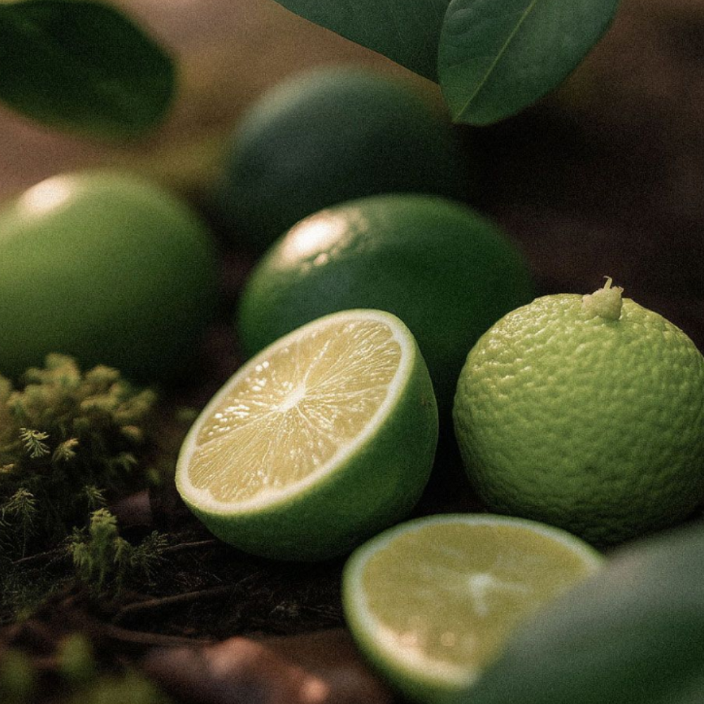 Scentlier Eau de Parfum Citrus Positano 50ml