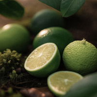 Scentlier Eau de Parfum Citrus Positano 50ml