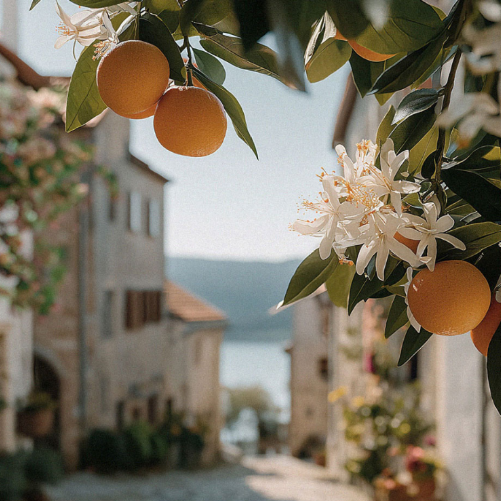 Duft Eau de Parfum Orange Blossom Toscana 30 ml