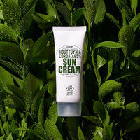 DERMA FACTORY EDLP Houttuynia Cordata 65% Sun Cream SPF50+PA+++ 50g