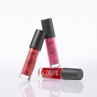 THE FACE SHOP Water Fit Tint 5g