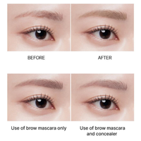 THE SAEM Cover Perfection Brow Concealer 4g