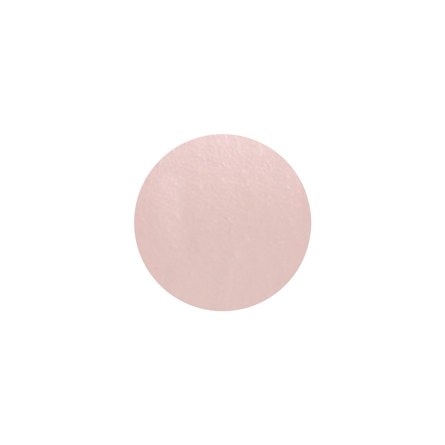 THE SAEM Cover Perfection Fixealer 6.5g 3 Colors